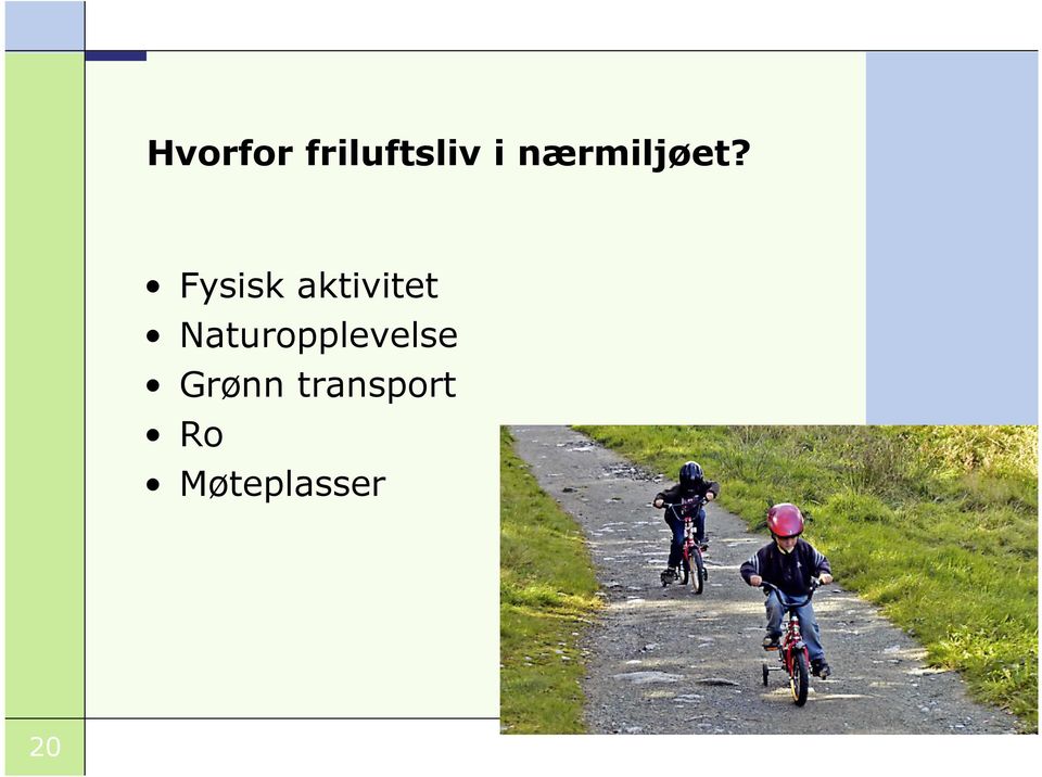 Fysisk aktivitet