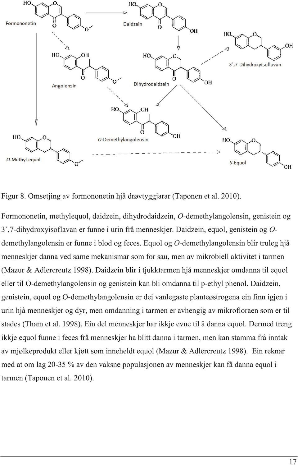 Daidzein, equol, genistein og O- demethylangolensin er funne i blod og feces.