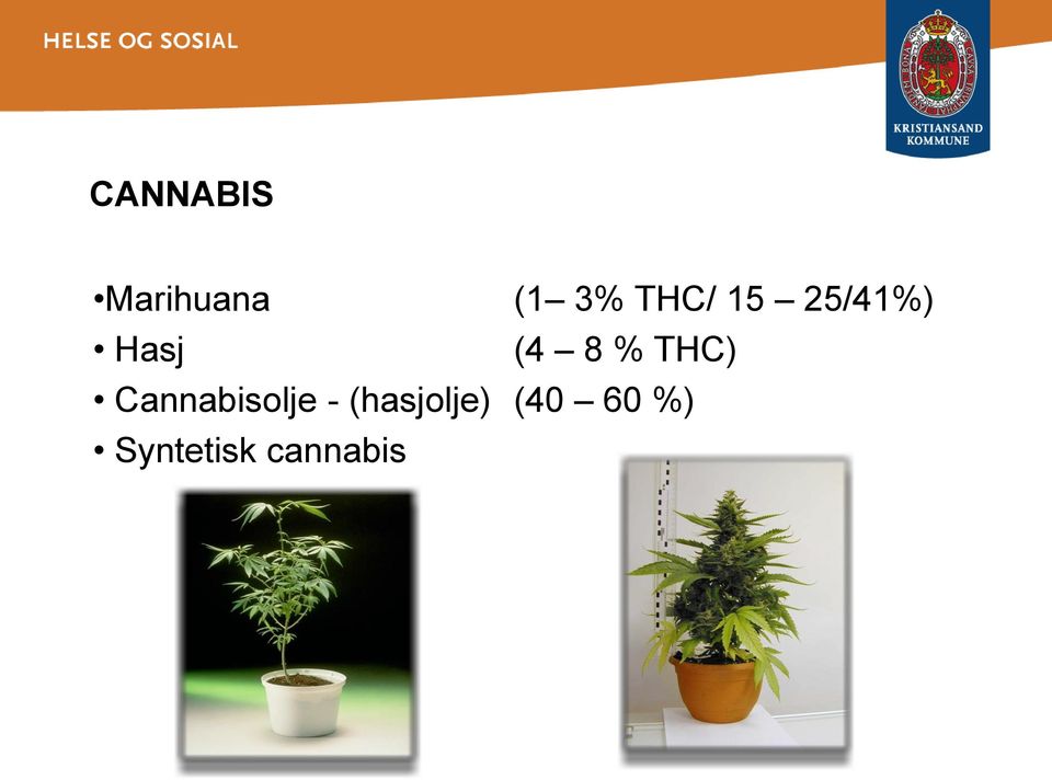 THC) Cannabisolje -