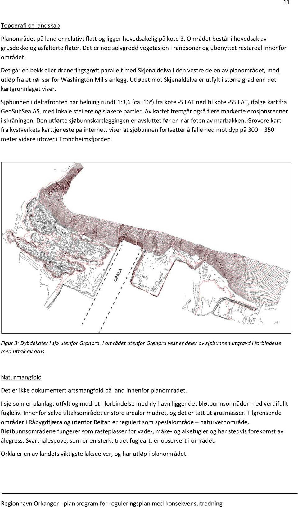 Det går en bekk eller dreneringsgrøft parallelt med Skjenaldelva i den vestre delen av planområdet, med utløp fra et rør sør for Washington Mills anlegg.