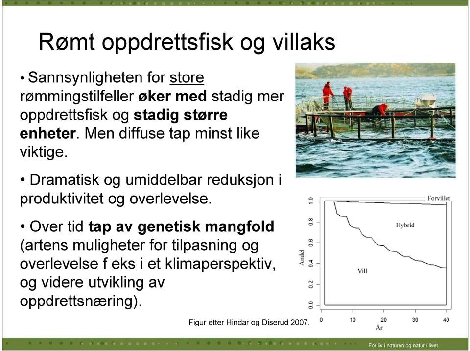 Dramatisk og umiddelbar reduksjon i produktivitet og overlevelse.