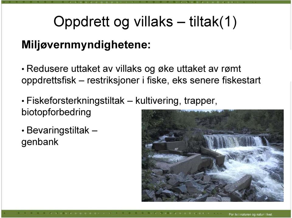 restriksjoner i fiske, eks senere fiskestart Fiskeforsterkningstiltak kultivering, trapper,