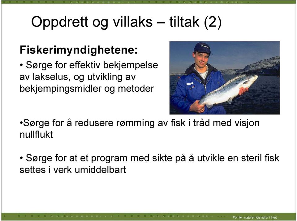 Sørge for å redusere rømming av fisk i tråd med visjon nullflukt Sørge