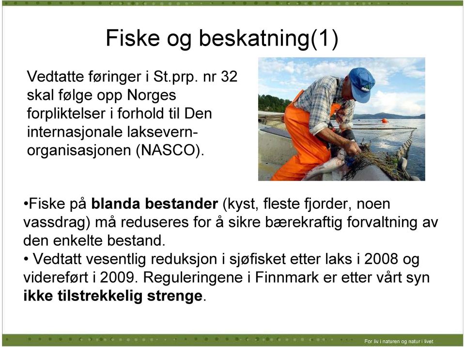 Fiske på blanda bestander (kyst, fleste fjorder, noen vassdrag) må reduseres for å sikre bærekraftig