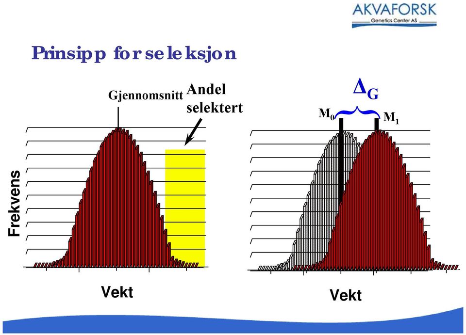 Gjennomsnitt Andel