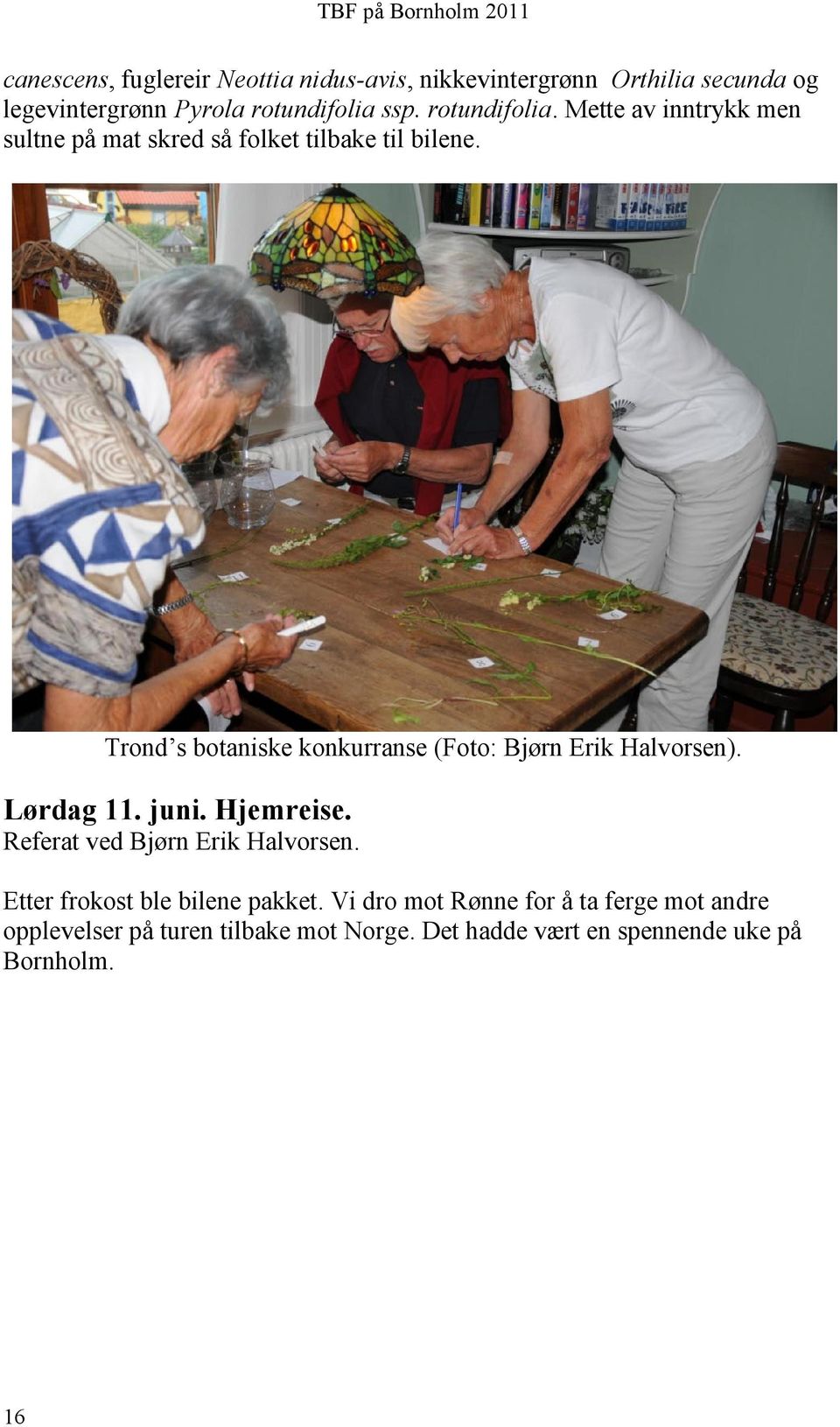 Trond s botaniske konkurranse (Foto: Bjørn Erik Halvorsen). Lørdag 11. juni. Hjemreise. Referat ved Bjørn Erik Halvorsen.