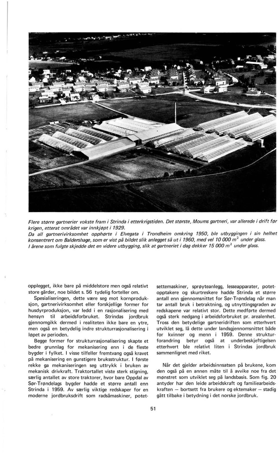 under glass. arene som fulgte skjedde det en videre utbygging, slik at gartneriet i dag dekker 15 000 m 2 under glass. opplegget, ikke bare pa middelstore men ogsa relativt store garder, noe bildet s.
