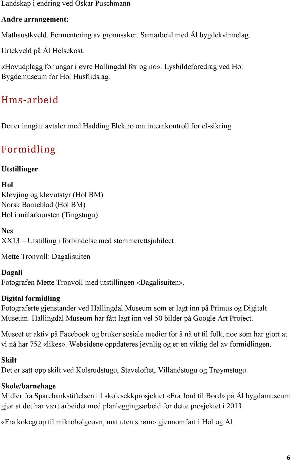 Hms-arbeid Det er inngått avtaler med Hadding Elektro om internkontroll for el-sikring Formidling Utstillinger Hol Kløvjing og kløvutstyr (Hol BM) Norsk Barneblad (Hol BM) Hol i målarkunsten