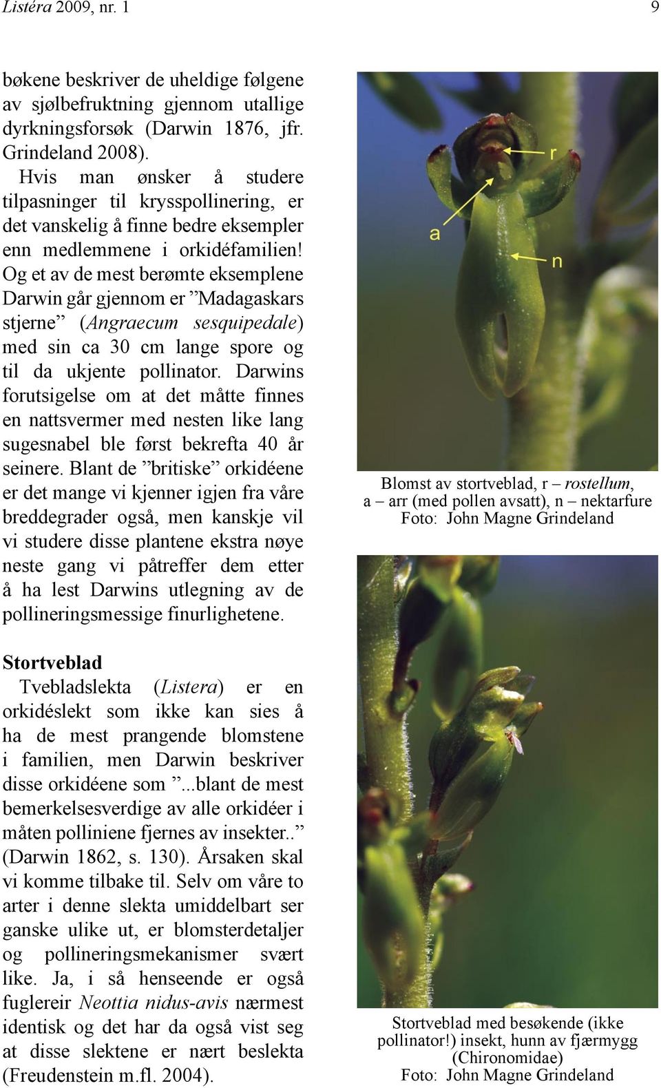 Og et av de mest berømte eksemplene Darwin går gjennom er Madagaskars stjerne (Angraecum sesquipedale) med sin ca 30 cm lange spore og til da ukjente pollinator.