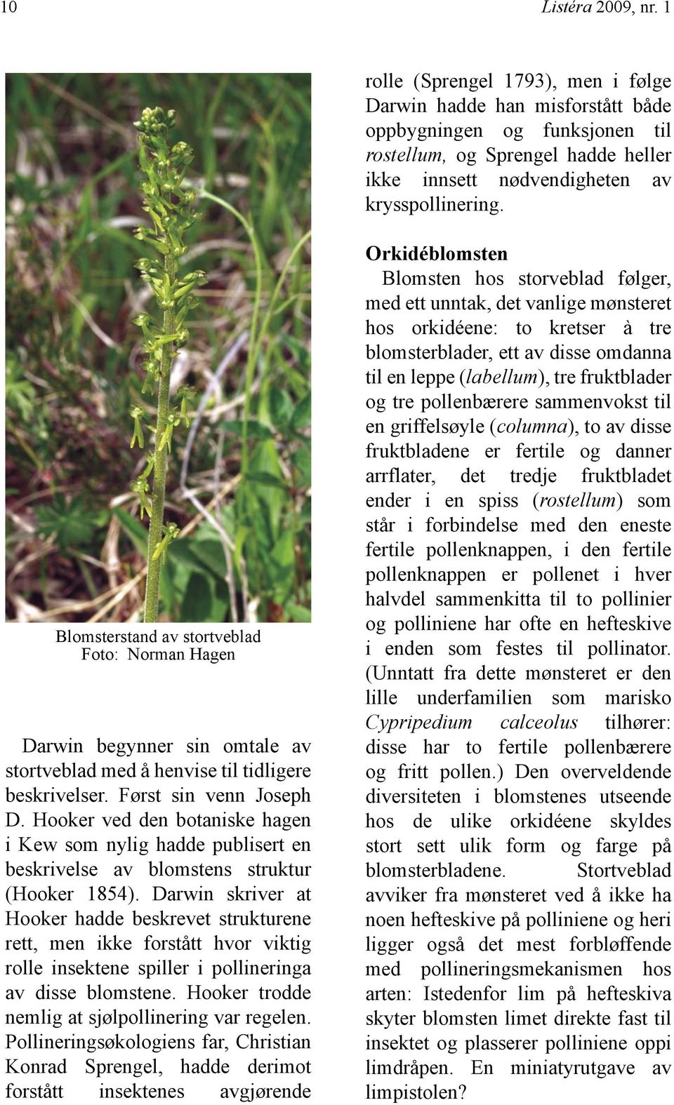 Blomsterstand av stortveblad Foto: Norman Hagen Darwin begynner sin omtale av stortveblad med å henvise til tidligere beskrivelser. Først sin venn Joseph D.