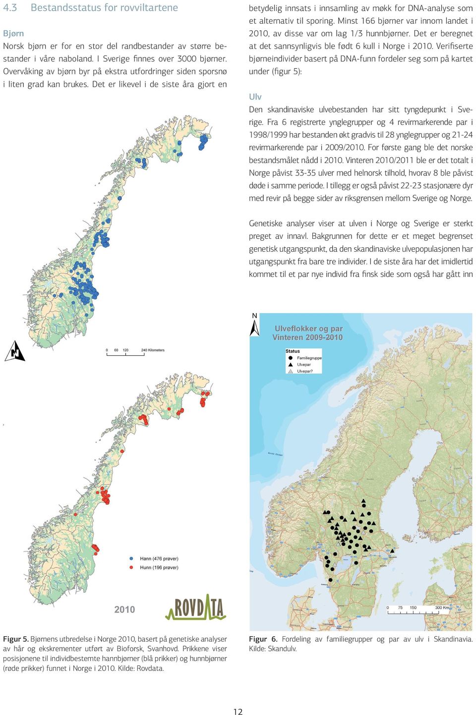 Verifiserte bjørne individer basert på DNA-funn fordeler seg som på kartet under (figur 5): Bjørn Norsk bjørn er for en stor del randbestander av større be stander i våre naboland.