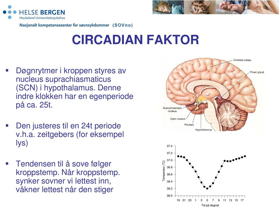 4 Tendensen til å sove følger kroppstemp. Når kroppstemp.