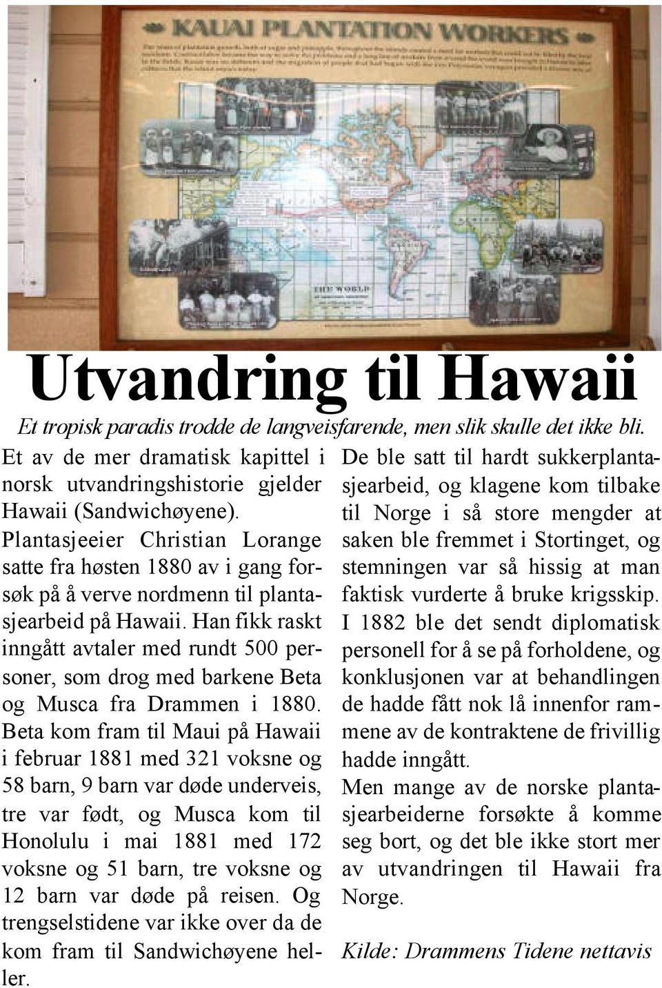 til Norge i så store mengder at Plantasjeeier Christian Lorange saken ble fremmet i Stortinget, og satte fra høsten 1880 av i gang forsøk på å verve nordmenn til planta- faktisk vurderte å bruke