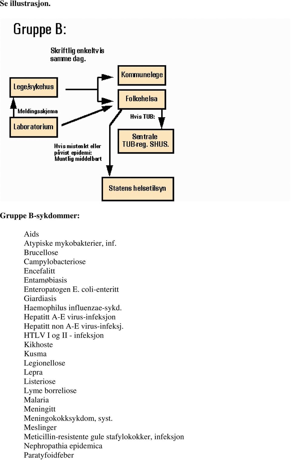 coli-enteritt Giardiasis Haemophilus influenzae-sykd. Hepatitt A-E virus-infeksjon Hepatitt non A-E virus-infeksj.