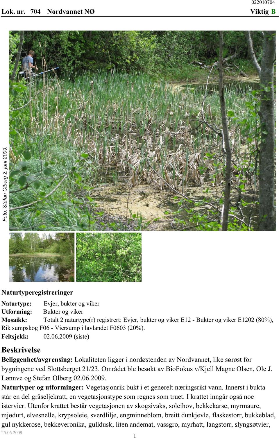 F06 - Viersump i lavlandet F0603 (20%). Feltsjekk: 02.06.2009 (siste) Beskrivelse Beliggenhet/avgrensing: Lokaliteten ligger i nordøstenden av Nordvannet, like sørøst for bygningene ved Slottsberget 21/23.