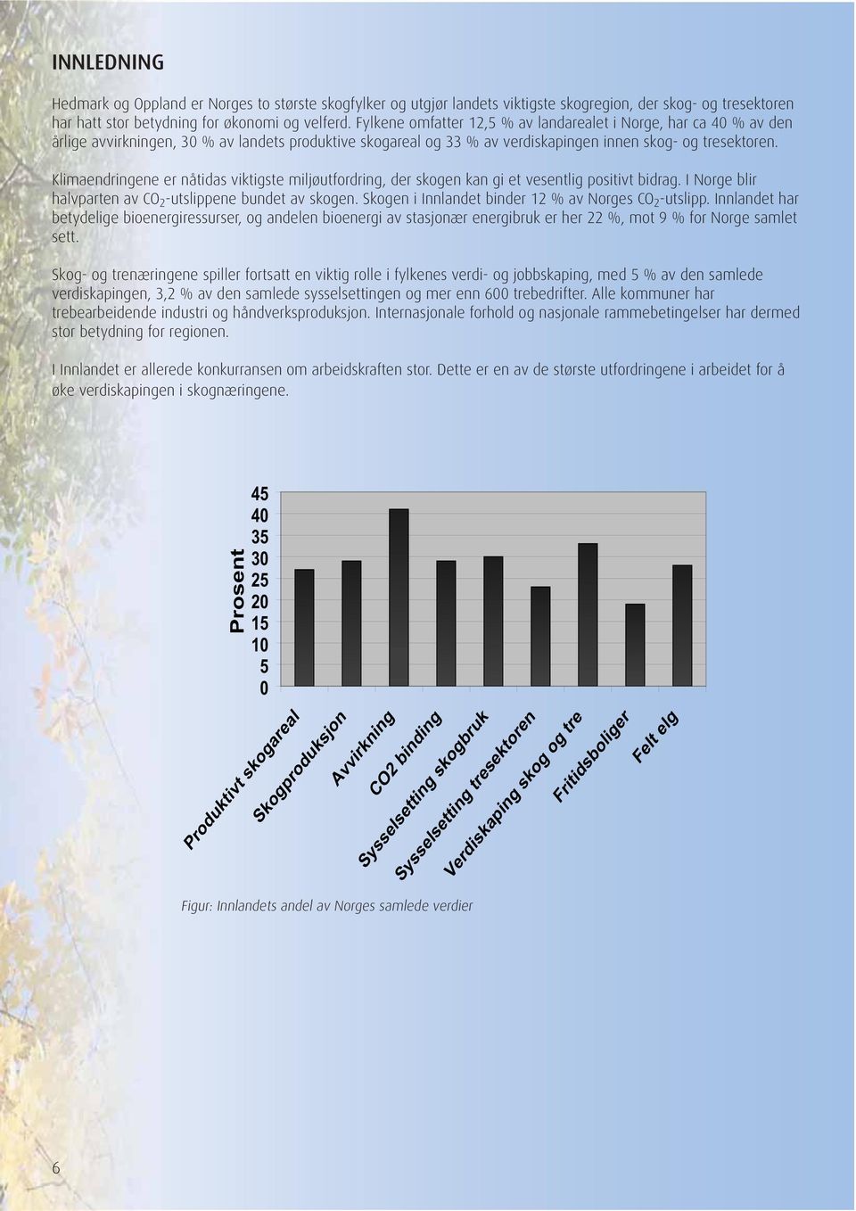 Klimaendringene er nåtidas viktigste miljøutfordring, der skogen kan gi et vesentlig positivt bidrag. I Norge blir halvparten av CO 2 -utslippene bundet av skogen.