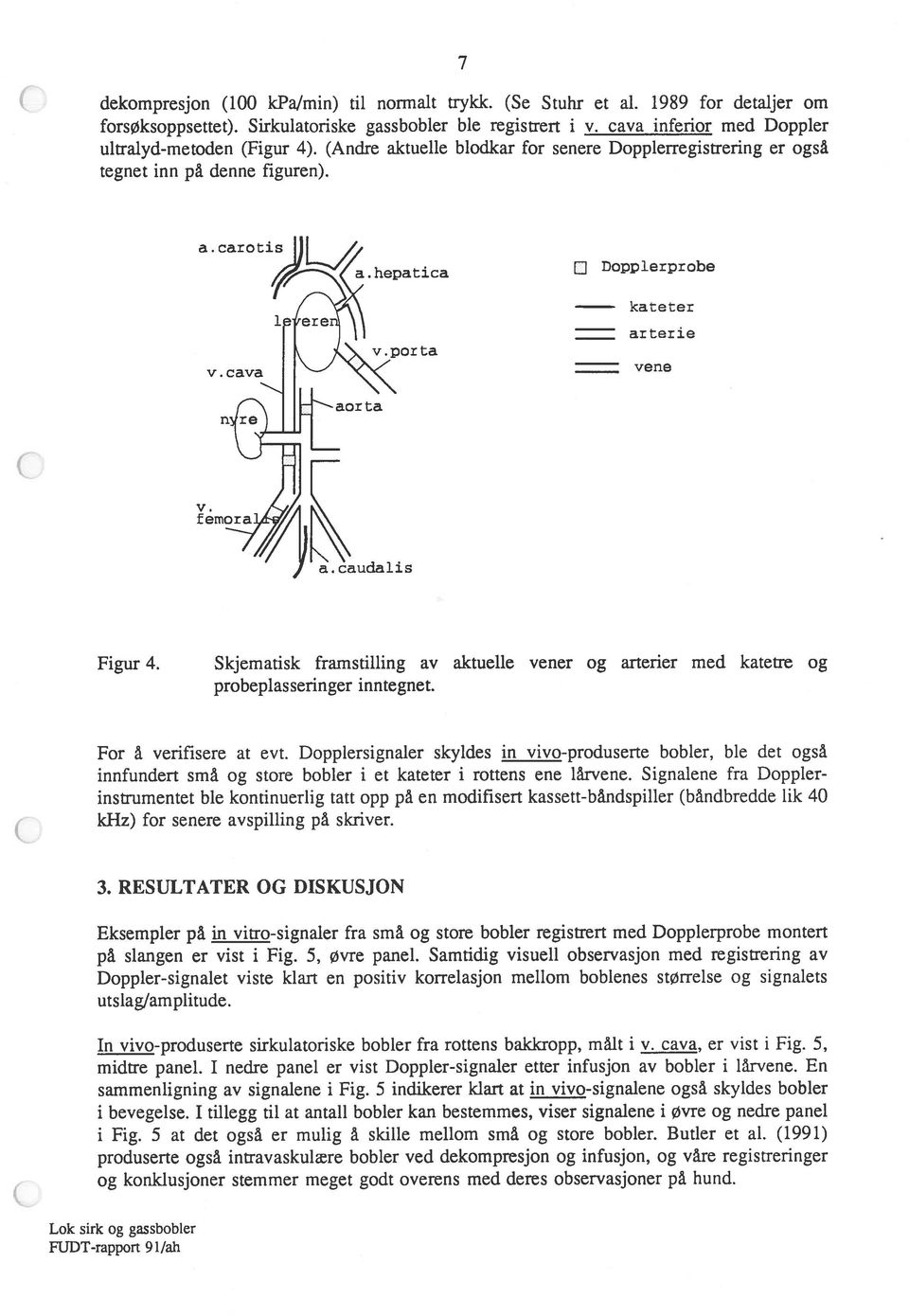 cava vene a. caudalis Figur 4. Skjematisk framstilling av aktuelle vener og arterier med katetre og probeplasseringer inntegnet. For å verifisere at evt.