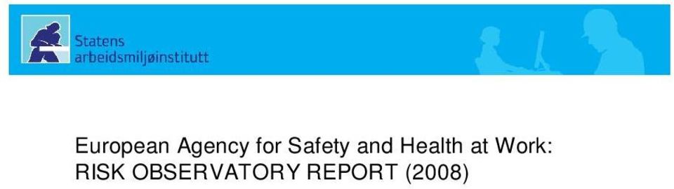 European Agency for Safety and Health at Work: RISK OBSERVATORY REPORT (2008) Expert forecast on Emerging Chemical Risks related to Occupational Safety and Health: The expert forecast singles out