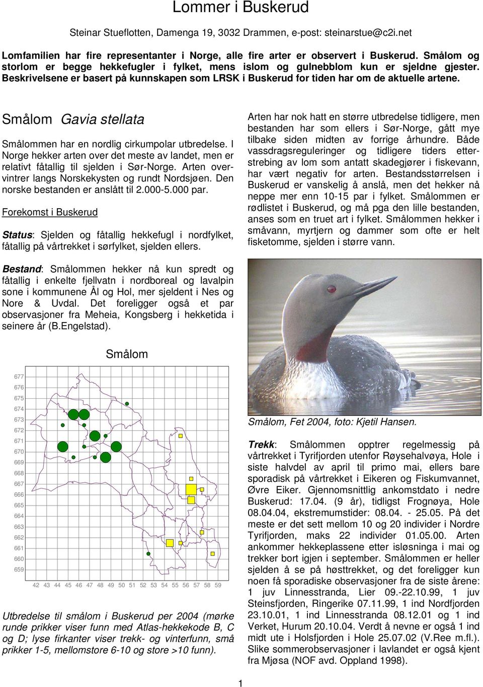 Smålom Gavia stellata Smålommen har en nordlig cirkumpolar utbredelse. I Norge hekker arten over det meste av landet, men er relativt fåtallig til sjelden i Sør-Norge.