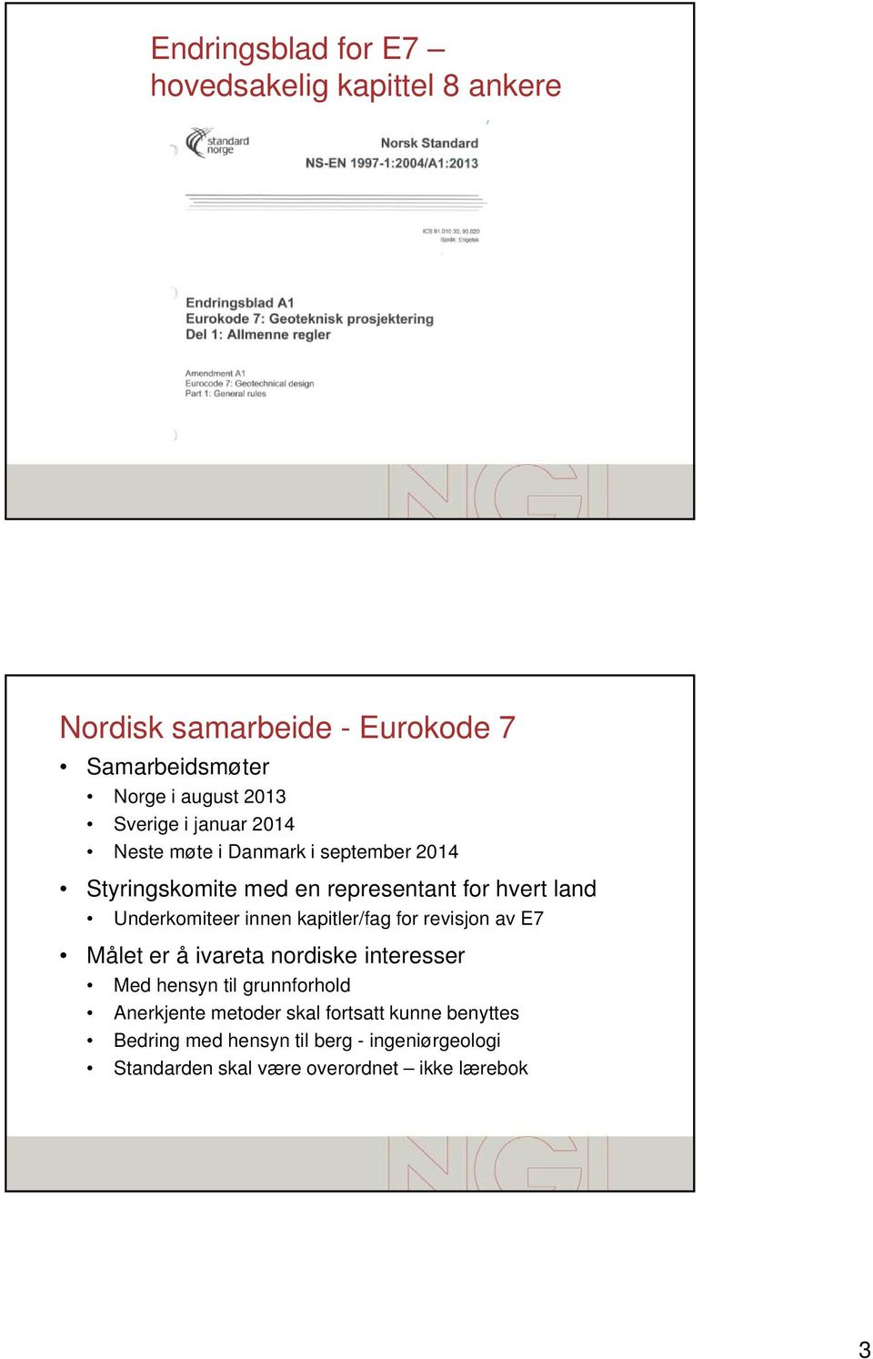 Underkomiteer innen kapitler/fag for revisjon av E7 Målet er å ivareta nordiske interesser Med hensyn til grunnforhold