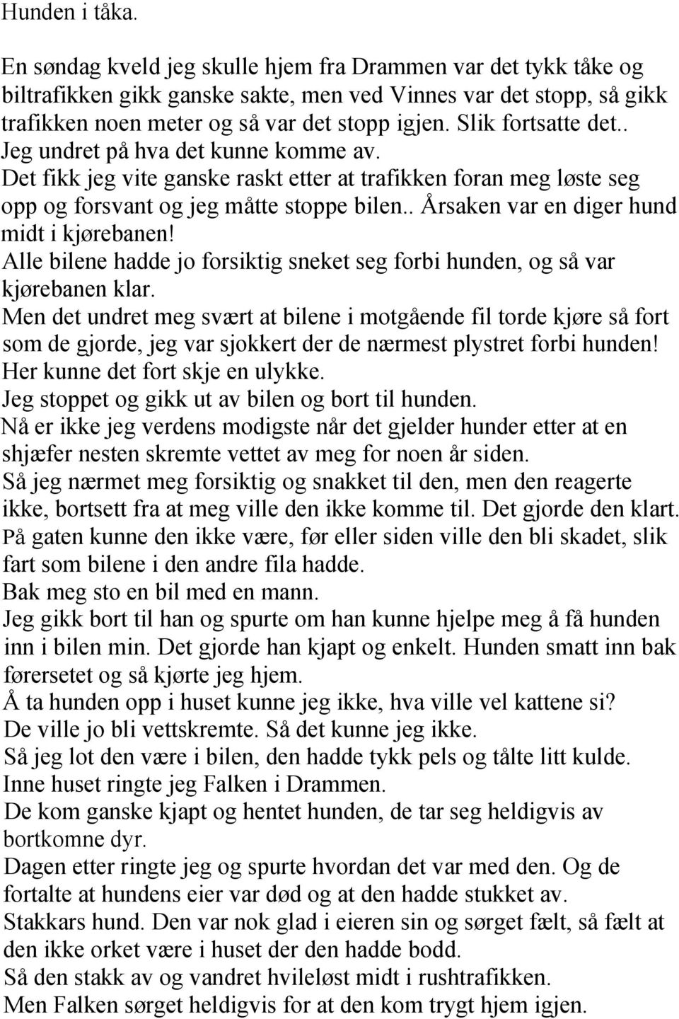 . Årsaken var en diger hund midt i kjørebanen! Alle bilene hadde jo forsiktig sneket seg forbi hunden, og så var kjørebanen klar.