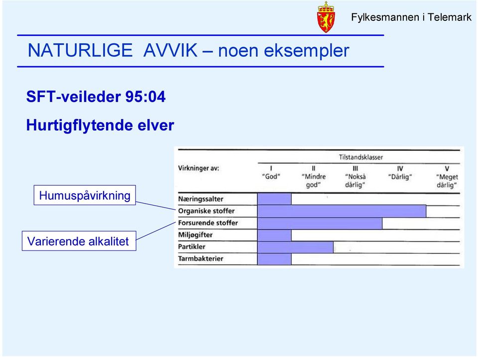 SFT-veileder 95:04