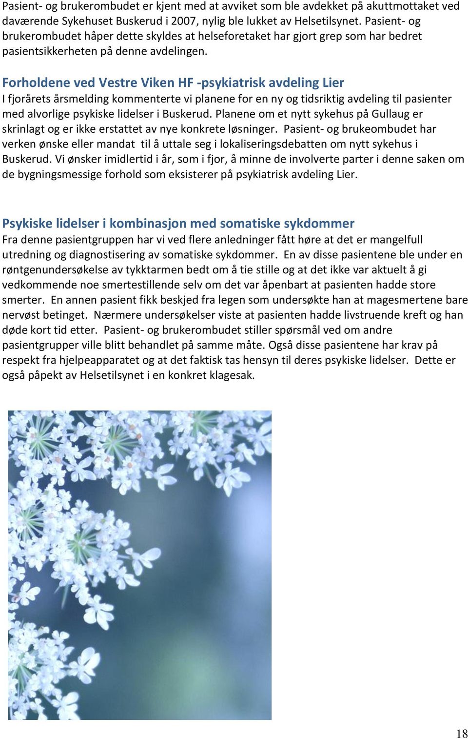 Forholdene ved Vestre Viken HF -psykiatrisk avdeling Lier I fjorårets årsmelding kommenterte vi planene for en ny og tidsriktig avdeling til pasienter med alvorlige psykiske lidelser i Buskerud.