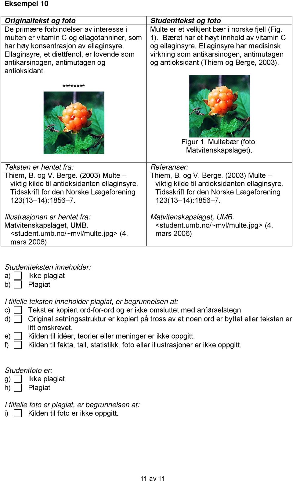 Ellaginsyre har medisinsk virkning som antikarsinogen, antimutagen og antioksidant (Thiem og Berge, 2003). ******** Figur 1. Multebær (foto: Matvitenskapslaget). Thiem, B. og V. Berge. (2003) Multe viktig kilde til antioksidanten ellaginsyre.