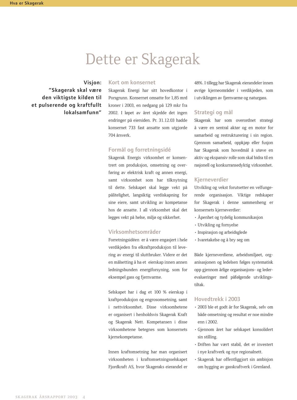 Formål og forretningsidé Skagerak Energis virksomhet er konsentrert om produksjon, omsetning og overføring av elektrisk kraft og annen energi, samt virksomhet som har tilknytning til dette.