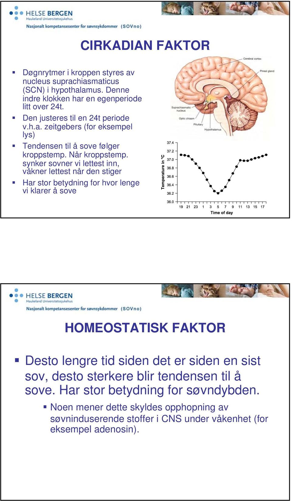 synker sovner vi lettest inn, våkner lettest når den stiger Har stor betydning for hvor lenge vi klarer å sove HOMEOSTATISK FAKTOR Desto lengre tid siden det