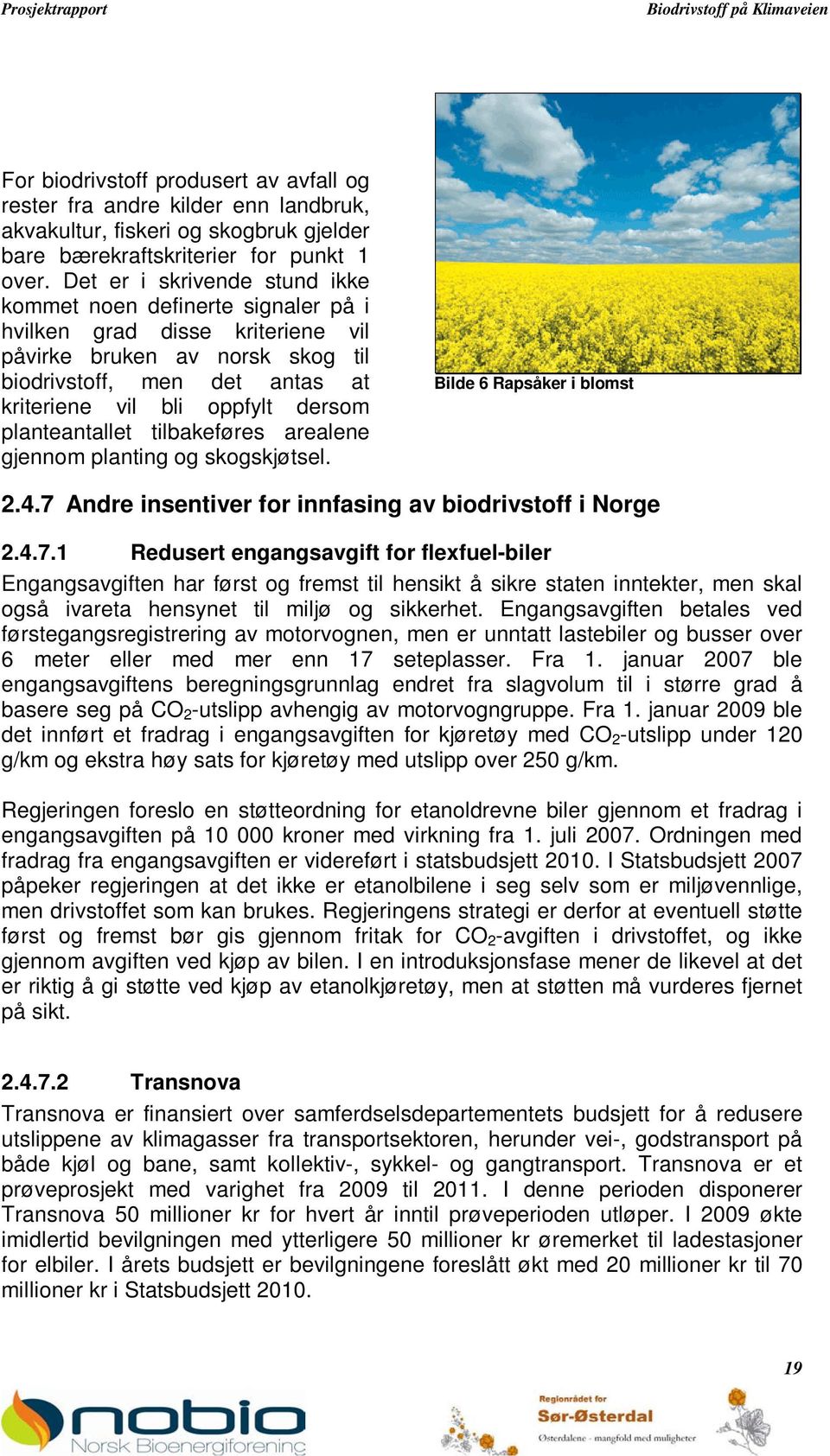 planteantallet tilbakeføres arealene gjennom planting og skogskjøtsel. Bilde 6 Rapsåker i blomst 2.4.7 