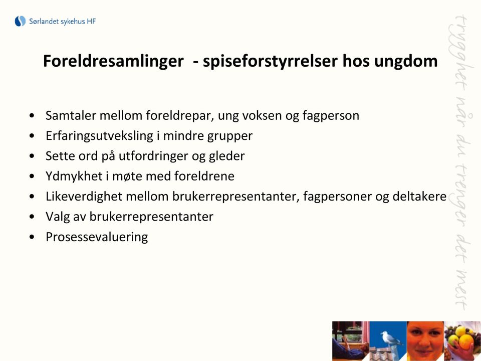 utfordringer og gleder Ydmykhet i møte med foreldrene Likeverdighet mellom