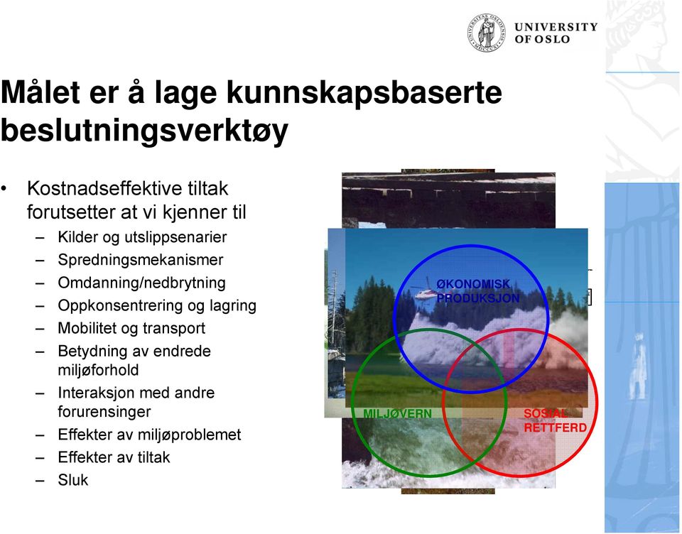 Mobilitet og transport Betydning av endrede miljøforhold Interaksjon med andre forurensinger Effekter