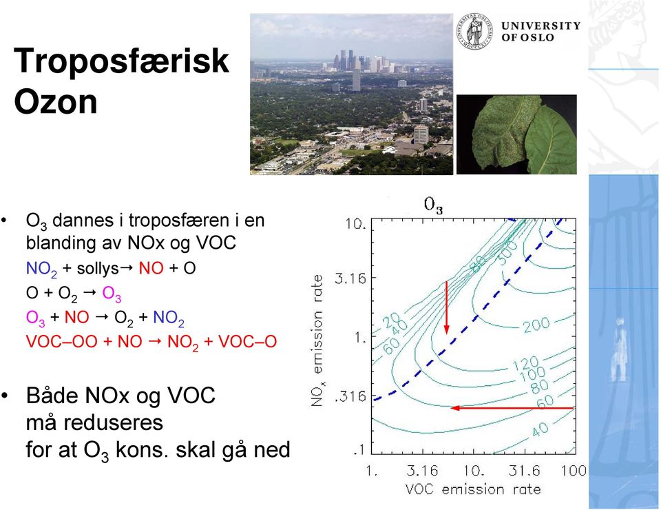 O 3 O 3 + NO O 2 + NO 2 VOC OO + NO NO 2 + VOC O