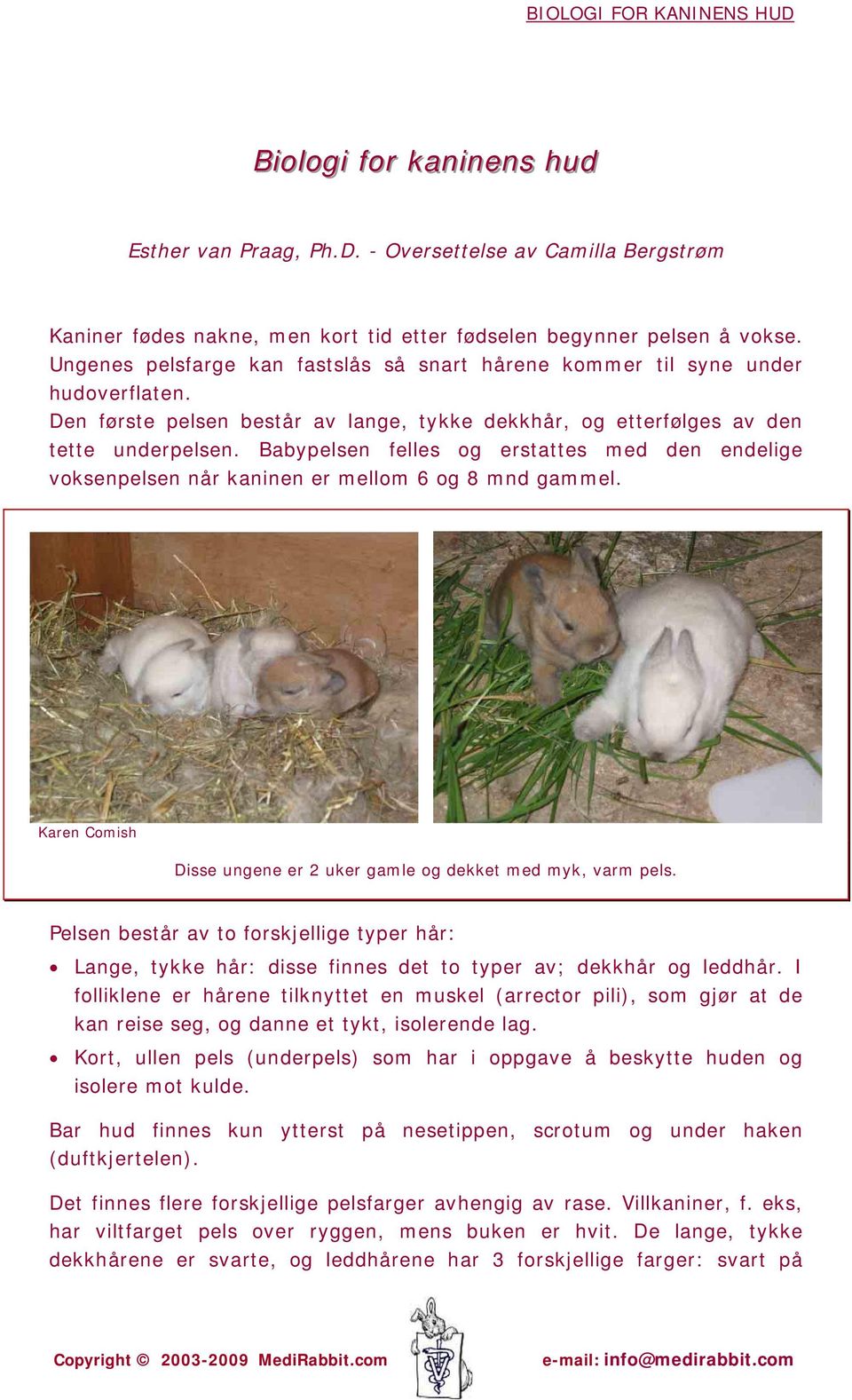 Babypelsen felles og erstattes med den endelige voksenpelsen når kaninen er mellom 6 og 8 mnd gammel. Karen Comish Disse ungene er 2 uker gamle og dekket med myk, varm pels.