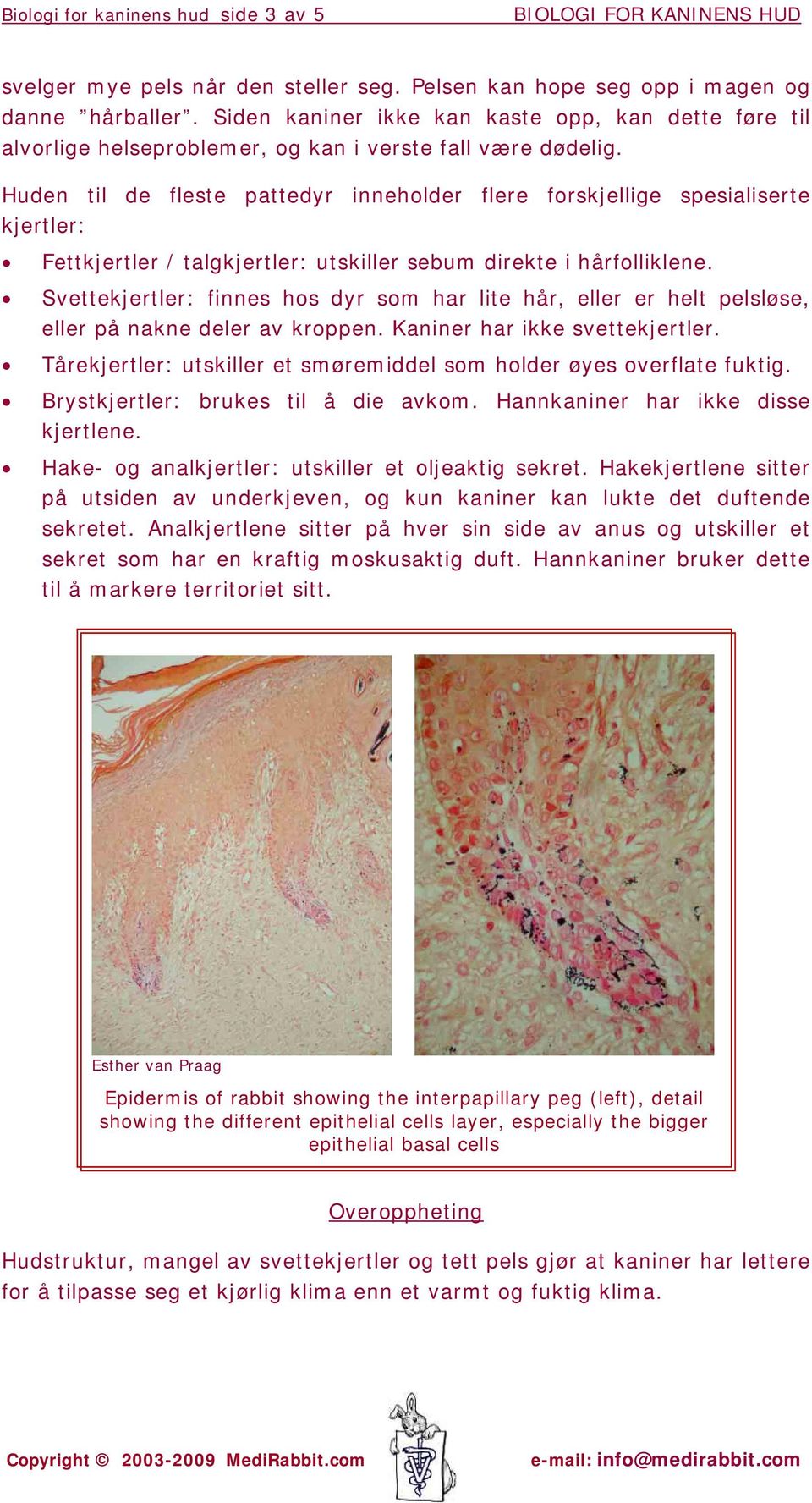 Huden til de fleste pattedyr inneholder flere forskjellige spesialiserte kjertler: Fettkjertler / talgkjertler: utskiller sebum direkte i hårfolliklene.