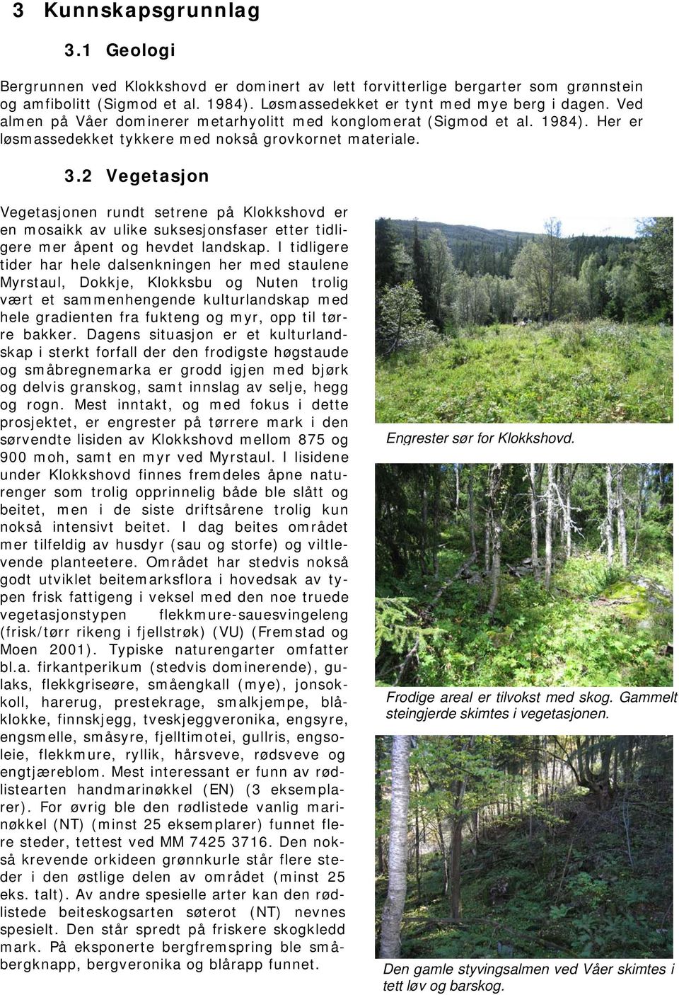 2 Vegetasjon Vegetasjonen rundt setrene på Klokkshovd er en mosaikk av ulike suksesjonsfaser etter tidligere mer åpent og hevdet landskap.