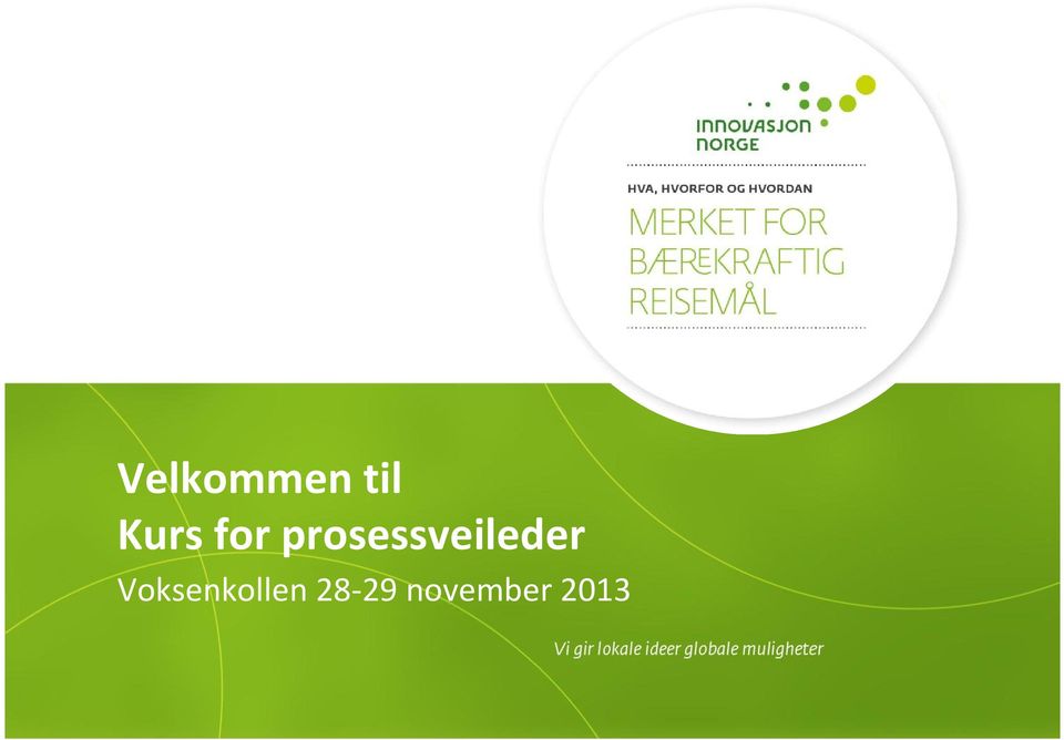 prosessveileder