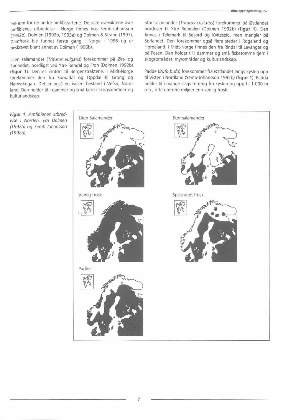 Liten salamander (Triturus vulgaris) forekommer på Øst- og Sørlandet,nordligst ved Ytre Rendal og Fron (Dolmen 1992b) (figur 1). Den er innført til Bergenstraktene.