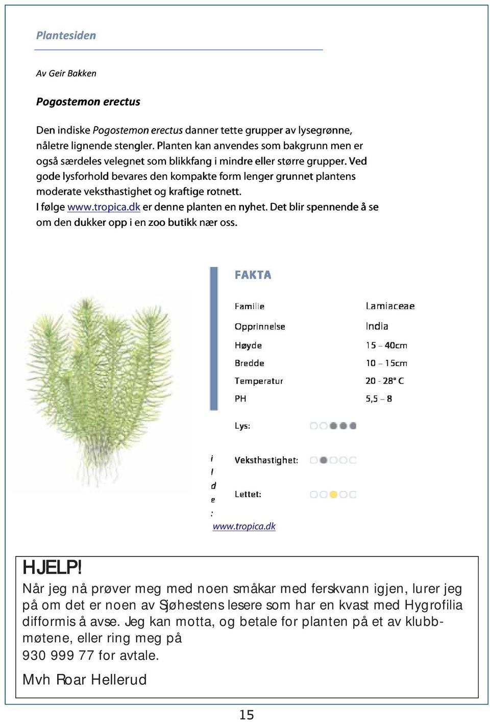 Ved gode lysforhold ld bevares den kompakte form lenger grunnet plantens moderate veksthastighet og kraftige rotnett. I følge www.tropica.dk er denne planten en nyhet.