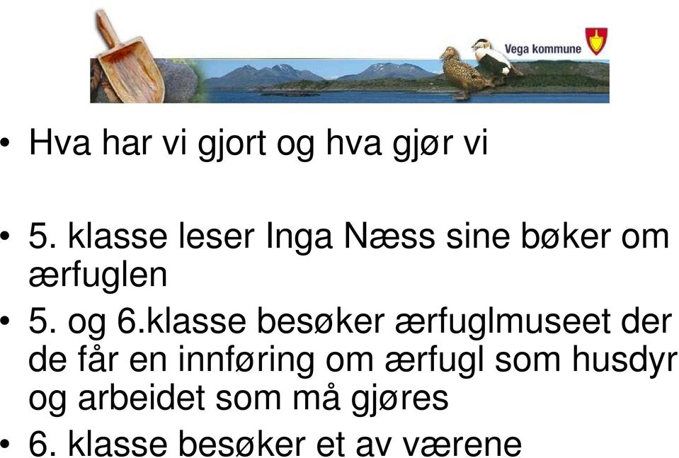 klasse besøker ærfuglmuseet der de får en innføring om