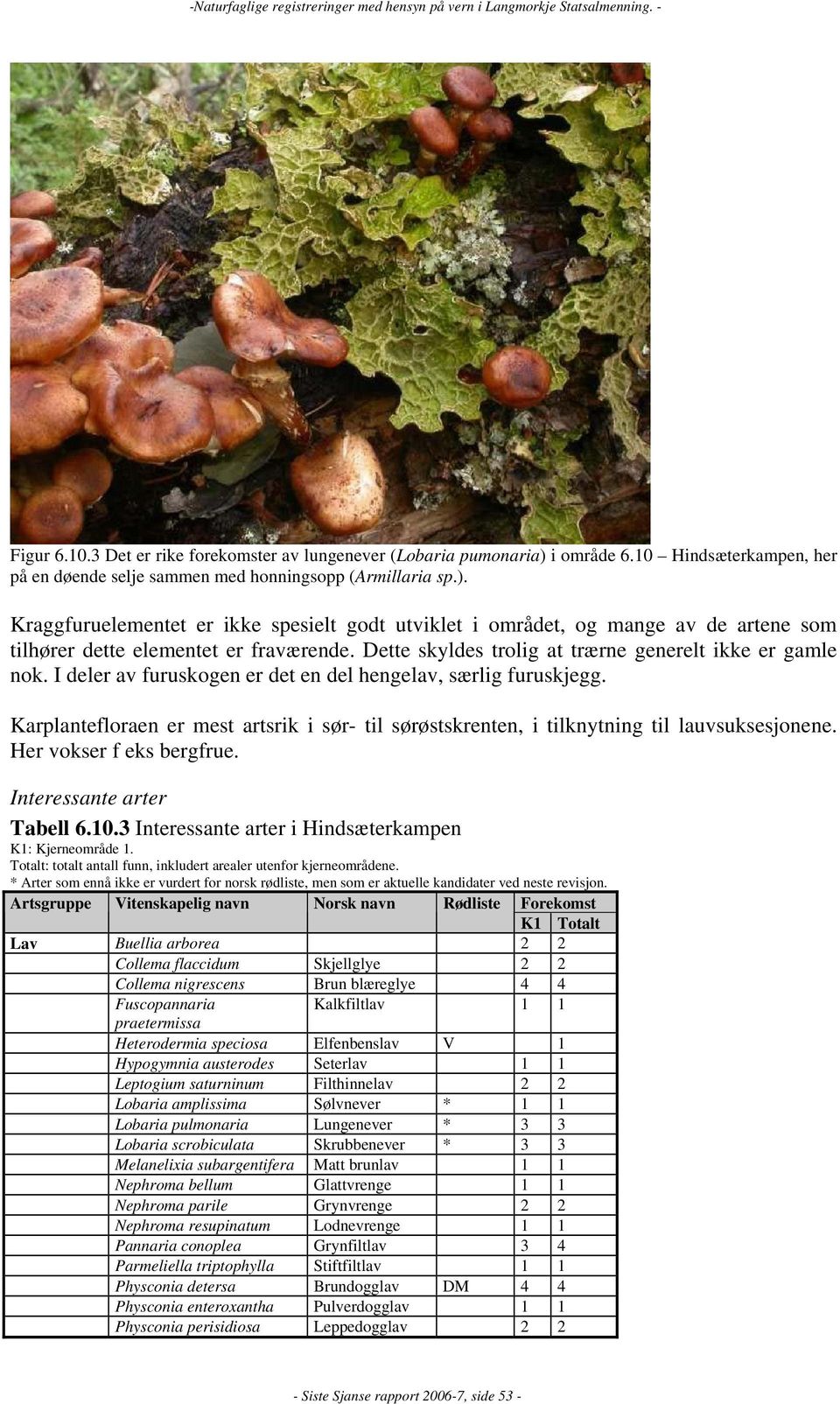 Karplantefloraen er mest artsrik i sør- til sørøstskrenten, i tilknytning til lauvsuksesjonene. Her vokser f eks bergfrue. Interessante arter Tabell 6.10.