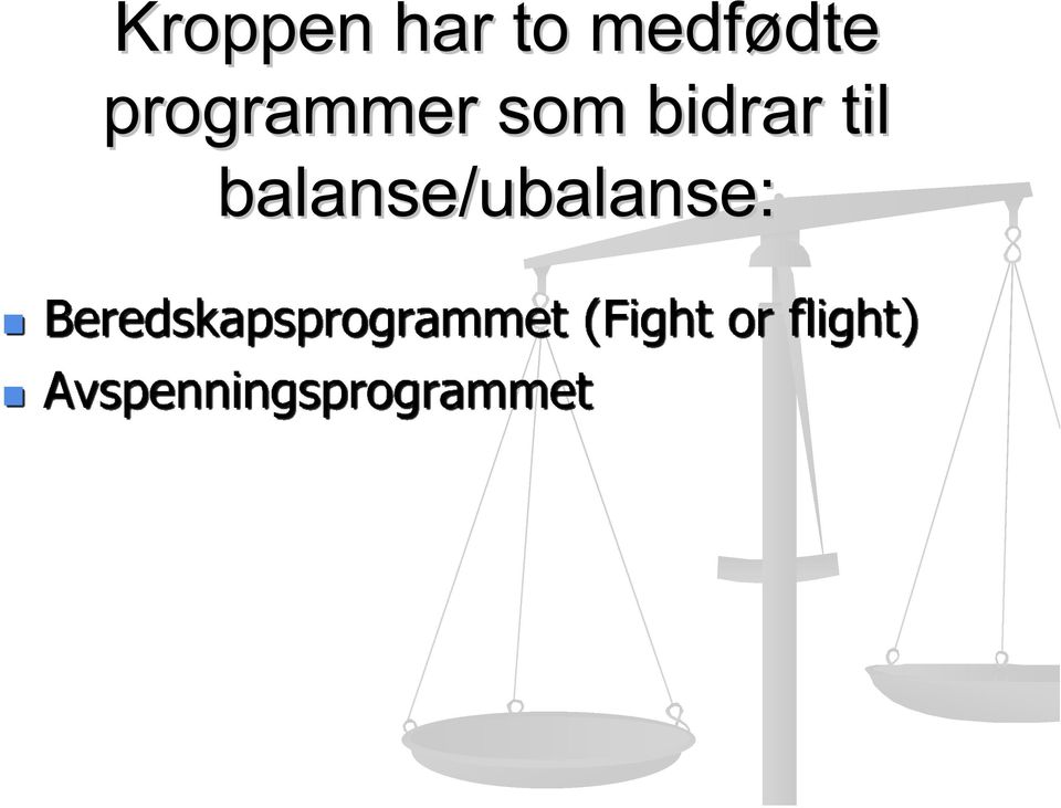 programmer som