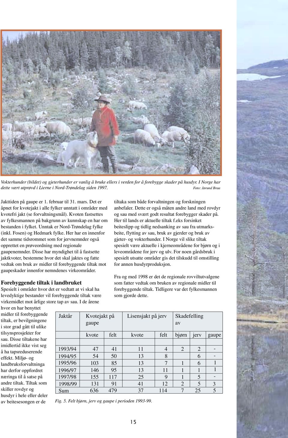 Kvoten fastsettes av fylkesmannen på bakgrunn av kunnskap en har om bestanden i fylket. Unntak er Nord-Trøndelag fylke (inkl. Fosen) og Hedmark fylke.