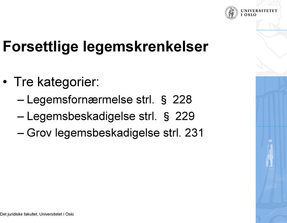 strl. 228 Legemsbeskadigelse strl.