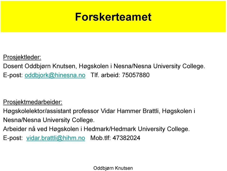 arbeid: 75057880 Prosjektmedarbeider: Høgskolelektor/assistant professor Vidar Hammer