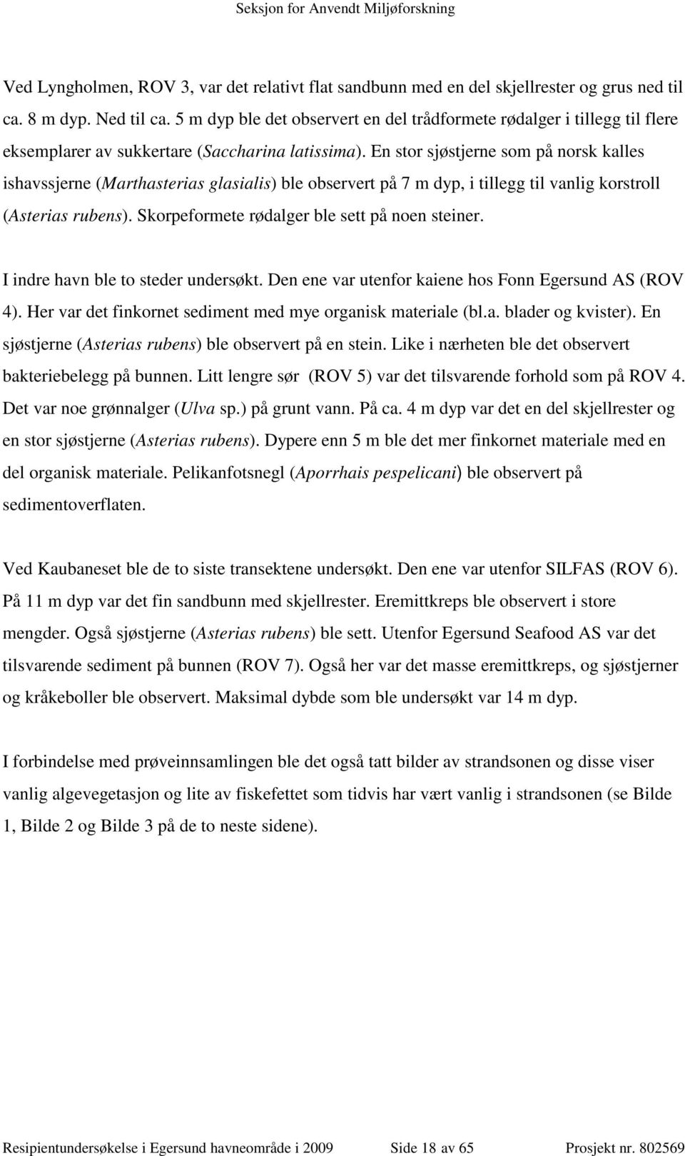 En stor sjøstjerne som på norsk kalles ishavssjerne (Marthasterias glasialis) ble observert på 7 m dyp, i tillegg til vanlig korstroll (Asterias rubens).