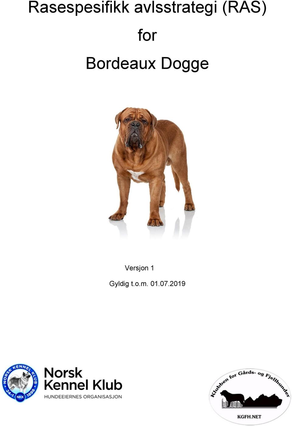 for Bordeaux Dogge