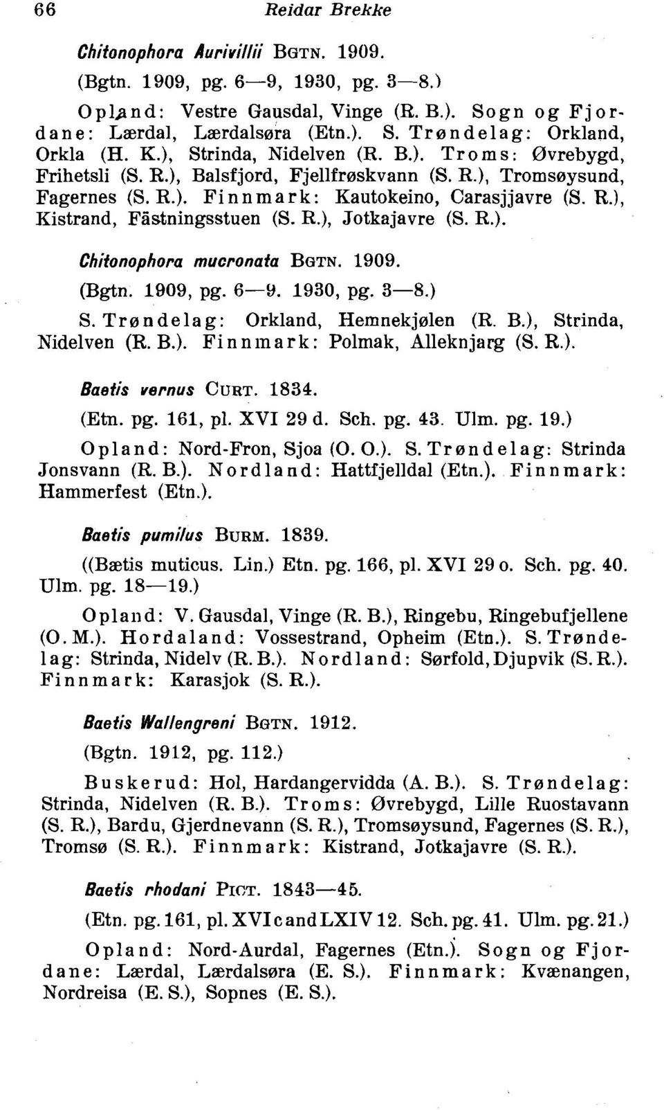 R.), Jotkajavre (S. R.). Chifonophora mucronafa BGTN. 1909. (Bgtn. 1909, pg. 6-9. 1930, pg. 3-8.) S. Trn n dela g: Orkland, Hemnekjnlen (R. B.), Strinda, Nidelven (R. B.). Fi n n in a r k : Polmak, Alleknjarg (S.