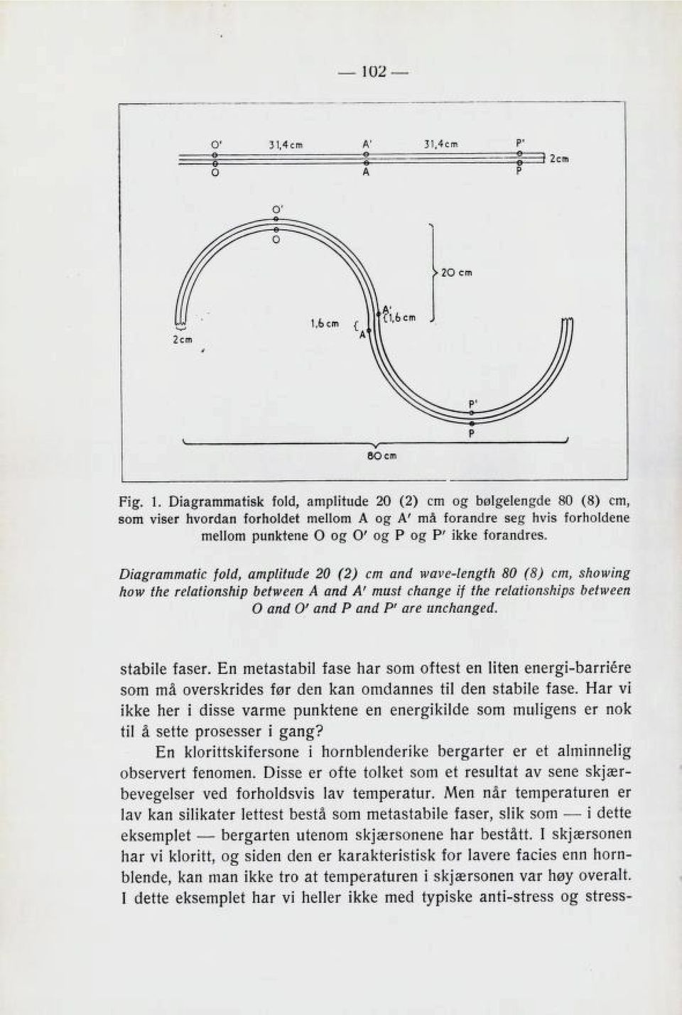 31,4cm P1P 1 